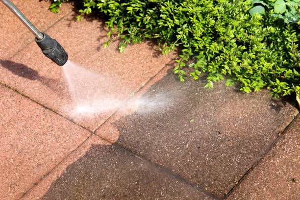 Best Deck Cleaning Services  in Upland, PA