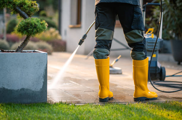 Best Exterior Home Cleaning  in Upland, PA